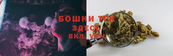 тгк Медногорск